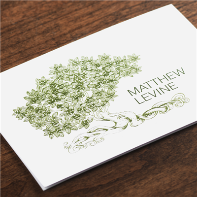 Rooted Note Card